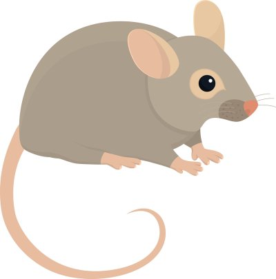 Getting Rid of Mice in Crystal Lake, IL