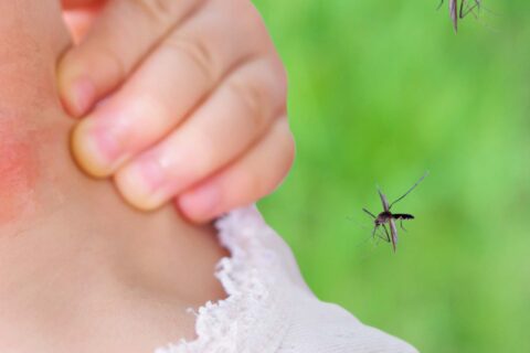 mosquito biting a young girls neck